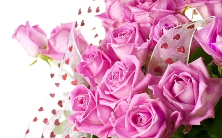 PINK ROSES