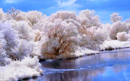 SNOW TREES - river, trees, winter, snow, bank