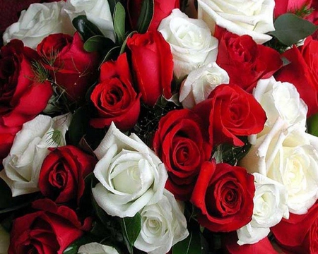 Boquet - white, red, flower, rose, love