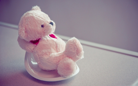 Teddy Bear - photography, furry, toy, lovely, white, abstract, amazing, pink, teddy bear, teddy, cute