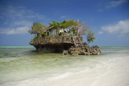 *Zanzibar,Fish 