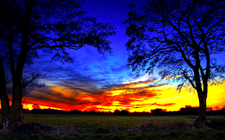 Still In Fire - pretty, horizon, yellow, dream-land, scenery, blue, roots, landscape, scene, grass, night, photo, dark, grasses, view, field, root, sky, sun, clouds, branches, trees, beautiful, photography, beauty, tree, tall, wonderful, fantasy, nature, sunset, dreamy