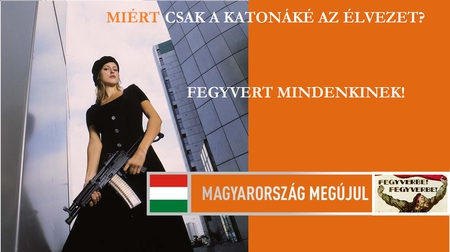 guns for everyone (getting for civil war) - hungary, ceska zbrojovka, kalaschnikow, anarchy