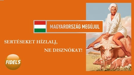 Only the pig allows control by blonde - pig, fidesz, hungary, renewal