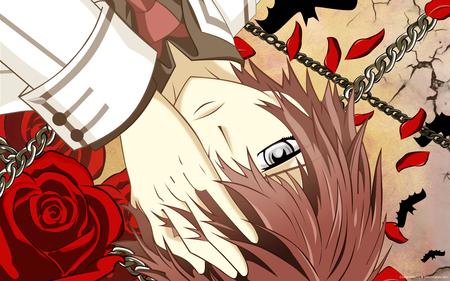 Senri Shiki - chains, roses, shiki, vamire knights, red hair, senri