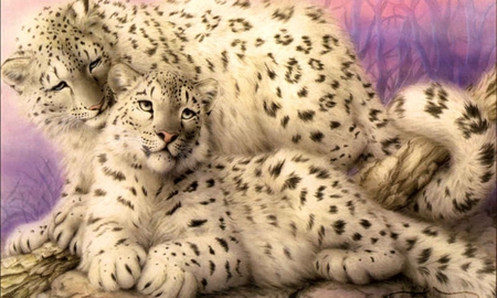 beautiful cats - pretty, leopard, beautiful, cg, fur, animal, soft, cats, spots