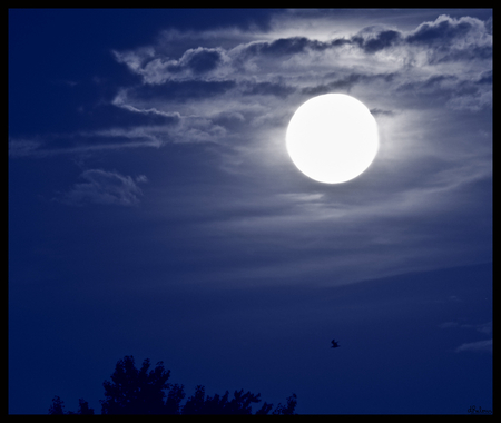 Blue Sunset - moon, sunset, blue, cloud, night, sky