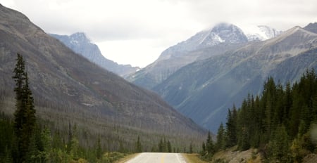 Mountains , Majestic , tall trees - clouds, trees, blue, photography, majestic, snow, white, nature, green, mountains, sky, banff