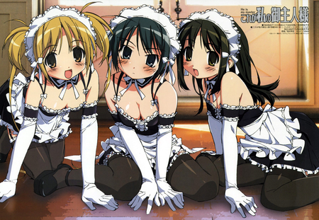 the three maids - maids, anna, mitsuki, izumi