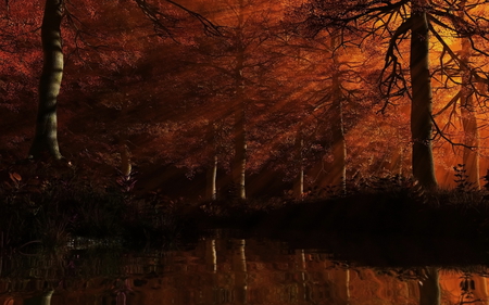 red forest beauty - nature, beauty, trees, forest, photography