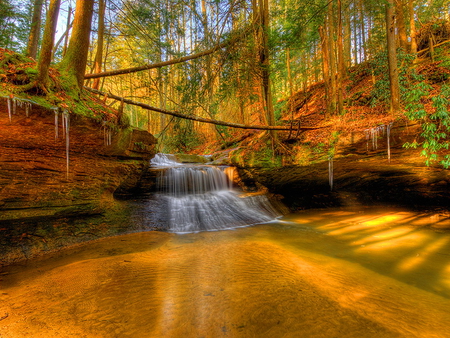 Water stream in forest