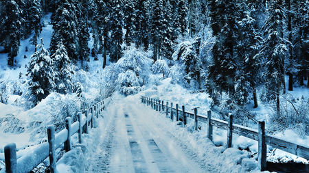 winter - nature, fence, snow, winter, bridge