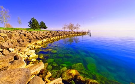 ROCKY SHORE - ocean, trees, clear, stones, shore, rocks