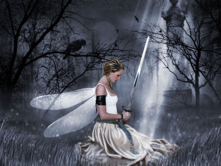 ADVENGING FAIRY - moon, trees, female, sword, night, stars, crow, wings, fairy, advenging