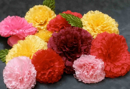 Beautiful Carnations - colorful, flowers, rainbow colored, carnations