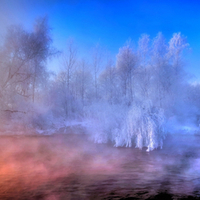 Frost and the Mist