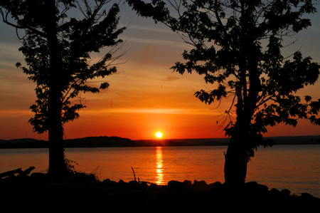 Good Morning sun - trees, good morning, sunrise, silhouette, sun