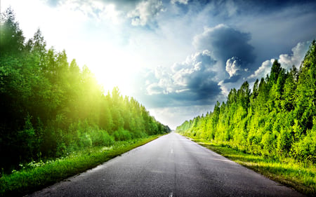 Road To... - beauty, sky, asphalt, trees, peaceful, sun, path, road, spring, view, clouds, green, sunny, sunrays, tree, grass, morning, rays, sunbeams, landscape, sunlight, way, lovely, nature, woods, forest, beautiful, clowd, leaves, splendor, sunrise