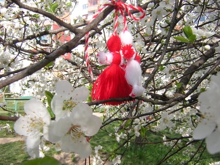 Martenitsa - martenitsa, martisor, spring, flower, tree