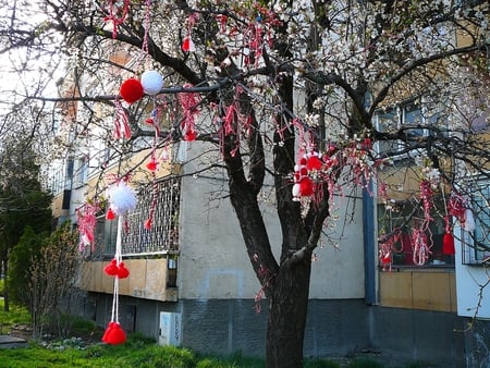 Martenitsa - martenitsa, martisor, spring, tree, bulgaria