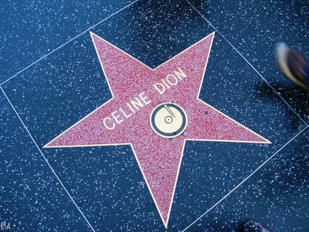 Celine Dion - Hollywood Walk of Fame - hollywood, famous, star, celine dion, hollywood walk of fame, celebrity