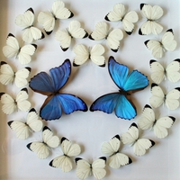 Butterfly heart