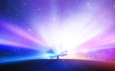 Tree of Life - rays, purple, abstract, lonely, life, blue, light, tree