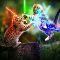 Kitty Skywalker vs. Meow Vader