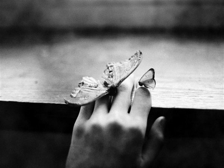 How I Feel - black and white, butterfly, fell, hand