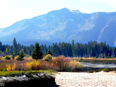 Lake Tahoe - nature, outside, beach, trees, mountain, water, sand