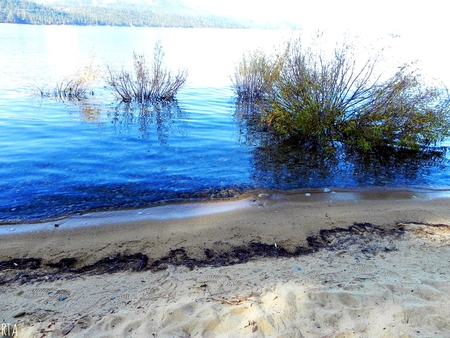 Lake Tahoe Shore - nature, outside, lake, beach, water, shore, sand, rocks