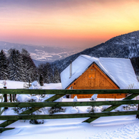 Colors of the winter