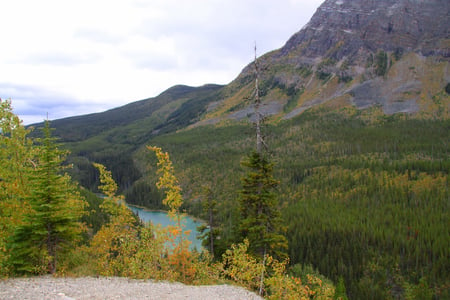 River & tall trees in Banff Alberta Park 36 - white, nature, trees, clouds, photography, river, green, mountains