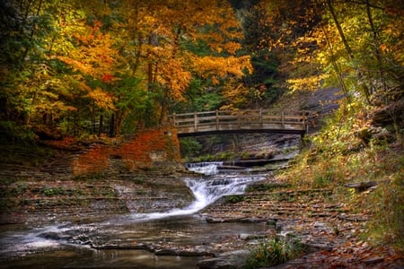 autumn - lake, forest, bride, colors, autumn