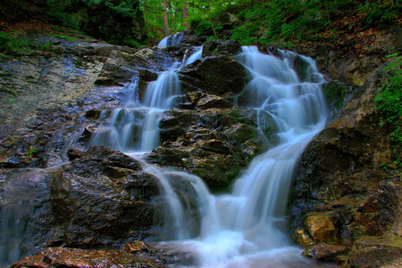 Split Water - split, trees, rock, leaves, tree, quemoss, waterfall, green, flowing, join, down