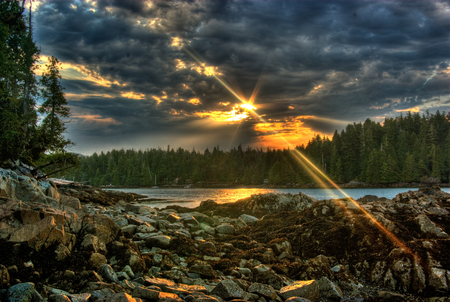 crazy sunset - clouds, crazy, tree, natur, sunset