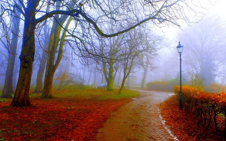 FOGGY PARK - path, trees, fog, lamp post, autumn, mist, park