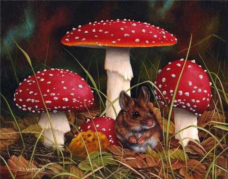 By Carl Whitfield - painting, nature, art, mushroom, carl whitfield, squirrel