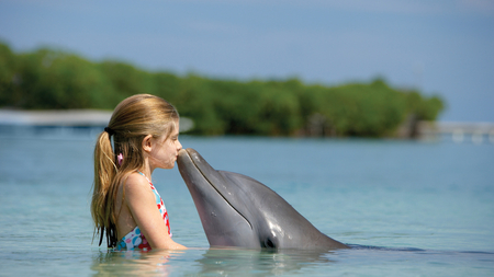 The Kiss - kissing, ocean, girl, water, child, amimal, nature, kiss, dolphins, animal, friends, sea, cute, dolphin