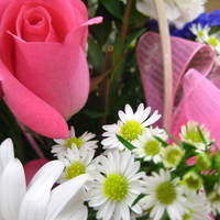 Flowers #1