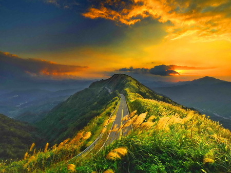 Road at sunset - sky, sunset, summer, road, nature, yellow, beautiful, clouds, golden, grass