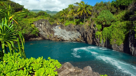 River - nature, sky, forest, river, island