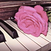 Rose and keys