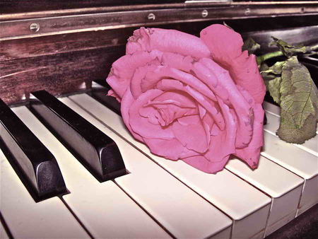 Rose and keys