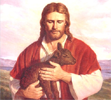 Jesus Christ the good shepherd - christ, jesus, shepherd, sheep, religion, christianity, god