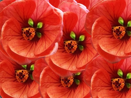 Flowers - flowers, bunch, nature, red