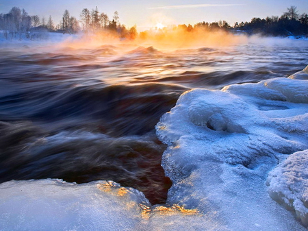 Ocean dance - ocean, trees, blue, sunset, foam, rocks, waves