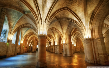 cathedral - cathedral, arches, hallways, lights