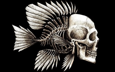 Skull Face Fish - cgi, fins, skeleton, dark, skull, bones