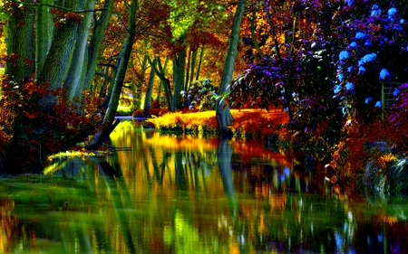 FOREST RIVER - autumn, blossoms, forest, river